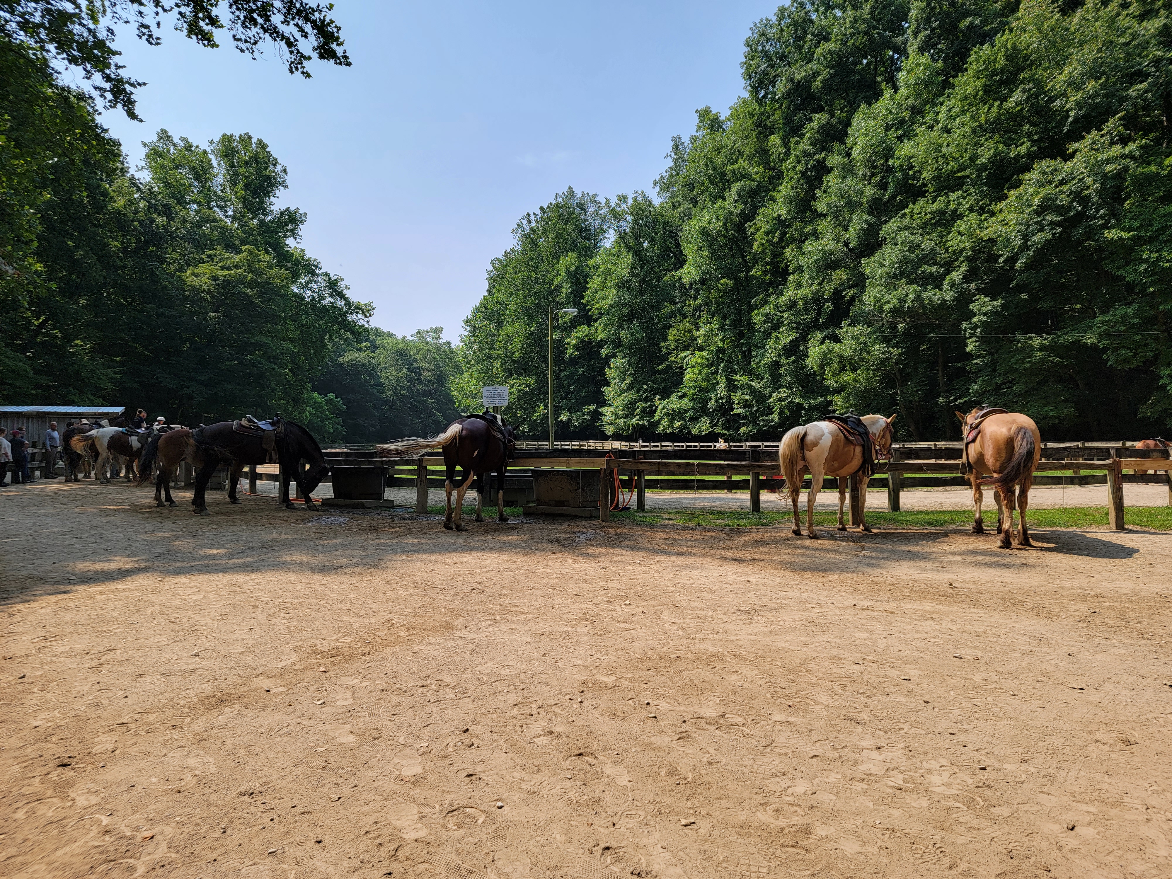 Saddle Barn