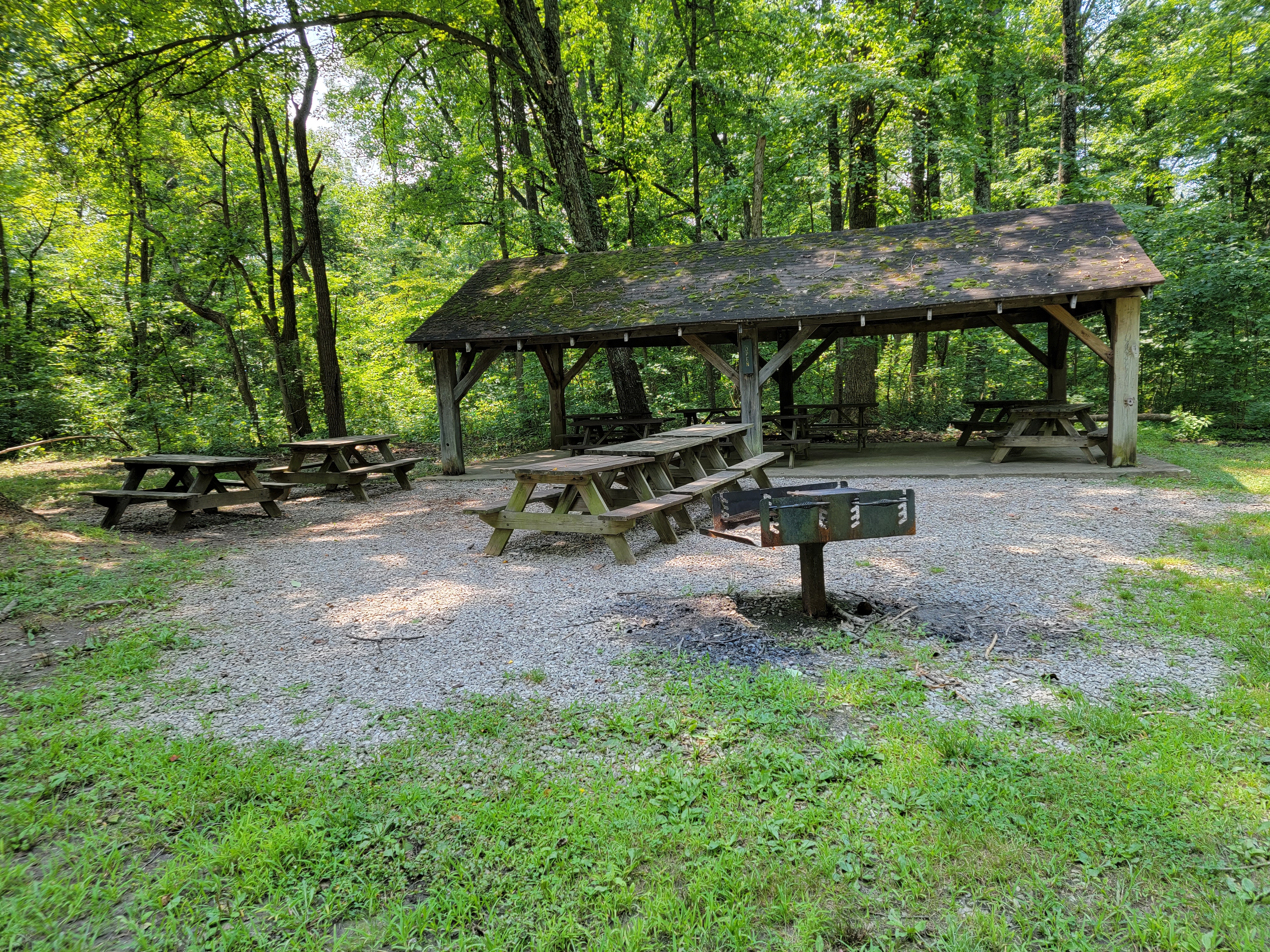 Tulip Tree Shelter