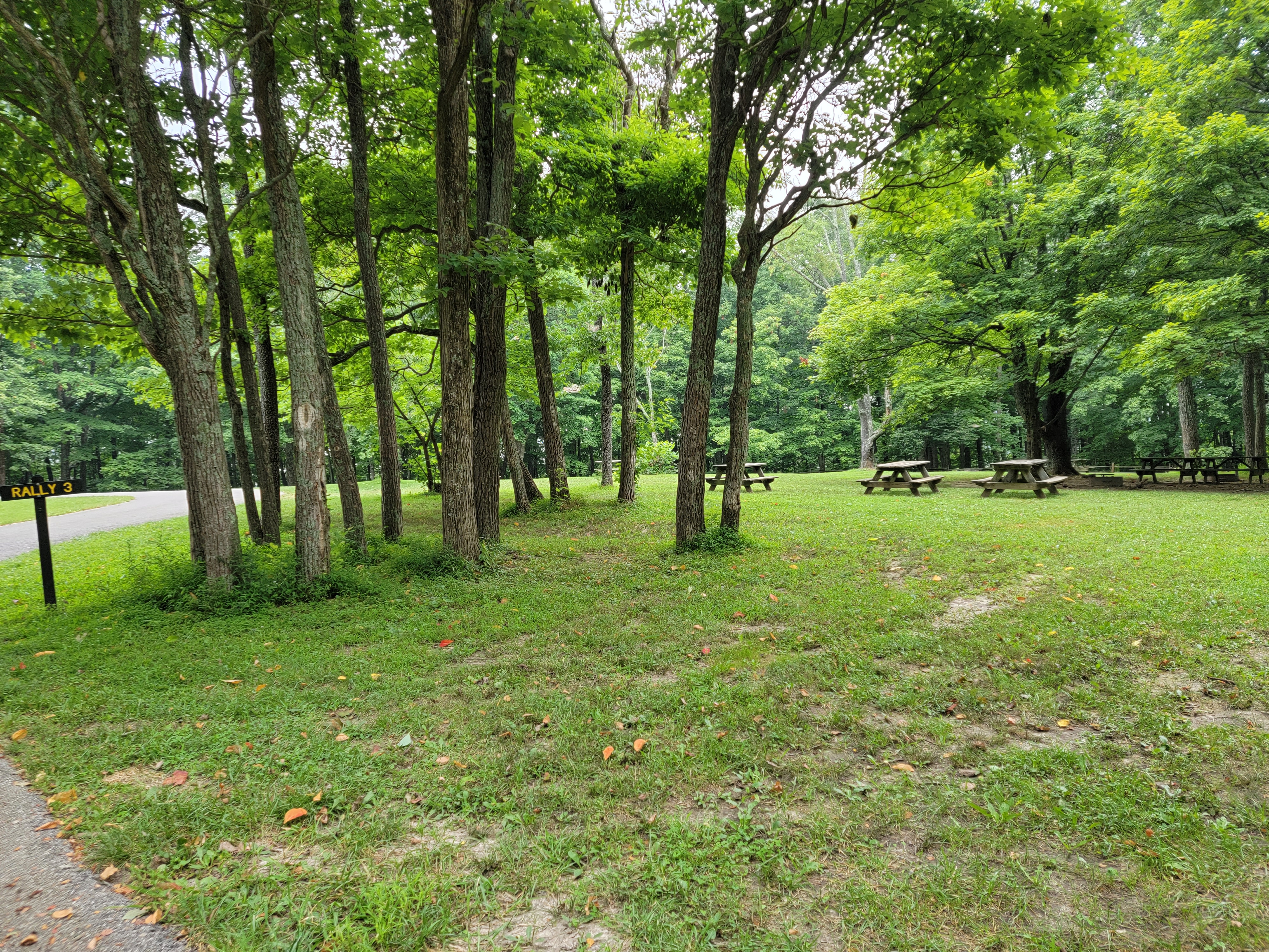 Youth Tent Area